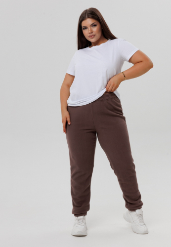 Бр-40 Брюки женские (флис)
